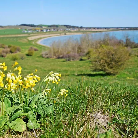 Zum Ostseestrand Mit Terrasse Casa vacanze